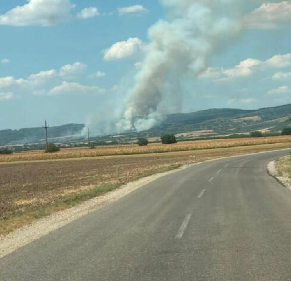 Izbio požar kod Bešanova: Dim kulja, vidi se i iz Novog Sada (FOTO)