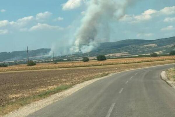 Izbio požar kod Bešanova: Dim kulja, vidi se i iz Novog Sada (FOTO)