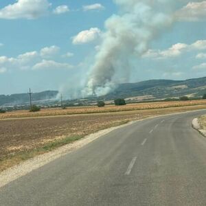Izbio požar kod Bešanova: Dim kulja, vidi se i iz Novog Sada (FOTO)