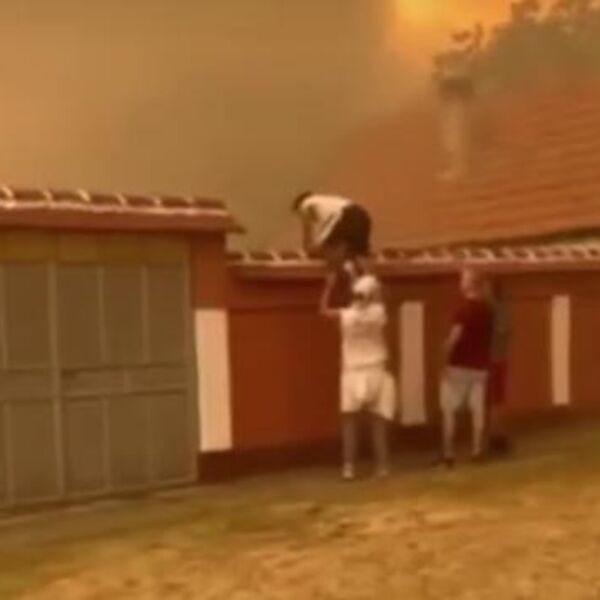 LJUDI SKAČU PREKO OGRADA KAKO BI SPASILI ŽIVU GLAVU: Pojavio se najstrašniji snimak požara u Grebencu (VIDEO)