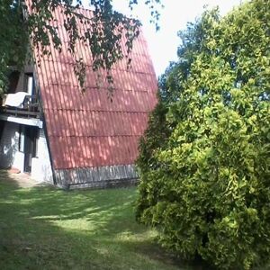Prodaje se vikendica i 13 ari placa za 25.000 evra: Veliko dvorište, a u pozadini se vidi prelepa srpska planina!