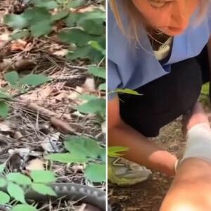Ženu UJEO POSKOK tokom planinarenje! Nakon 25 minuta je počela BORBA ZA ŽIVOT, ovo je PRVO URADILA! (VIDEO)