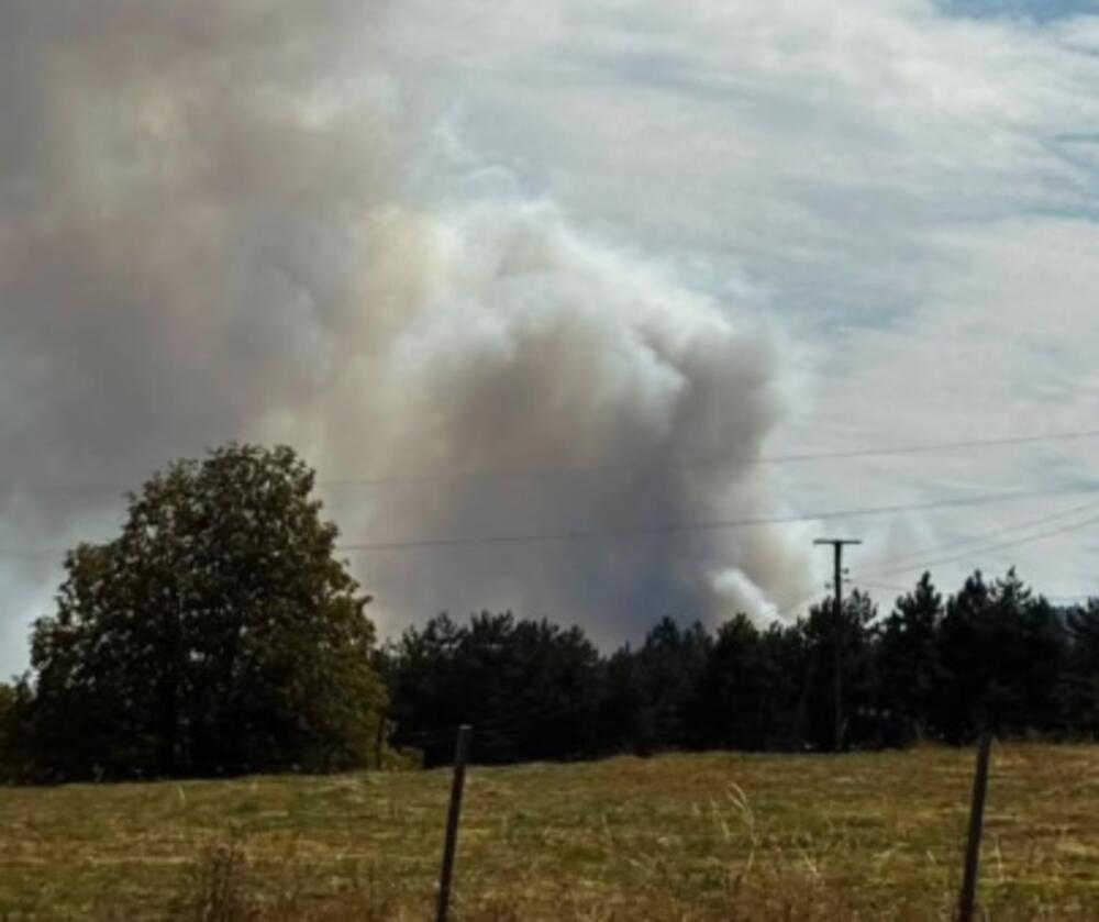 Buknuo veliki požar na planini Goč! (FOTO)