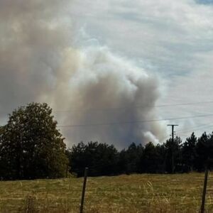 Buknuo veliki požar na planini Goč! (FOTO)