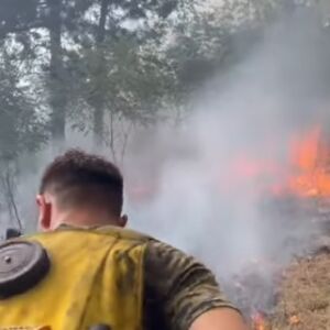 Izbio još jedan požar u Srbiji, vatra stigla na stotinak metara od prvih kuća! Izdat važan apel za građane (VIDEO)