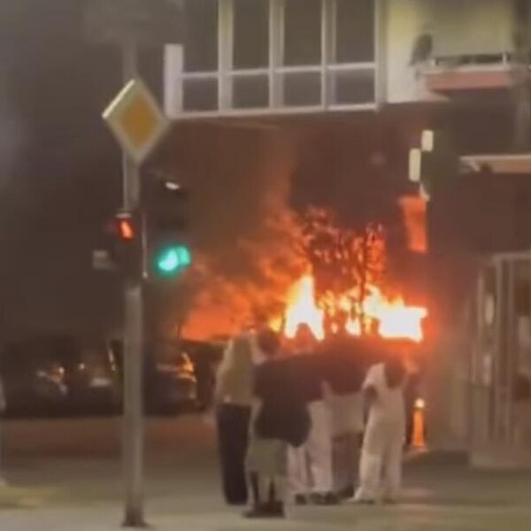 DRAMA U NOVOM SADU: Strašan požar na parkingu, izgorelo više vozila (VIDEO)