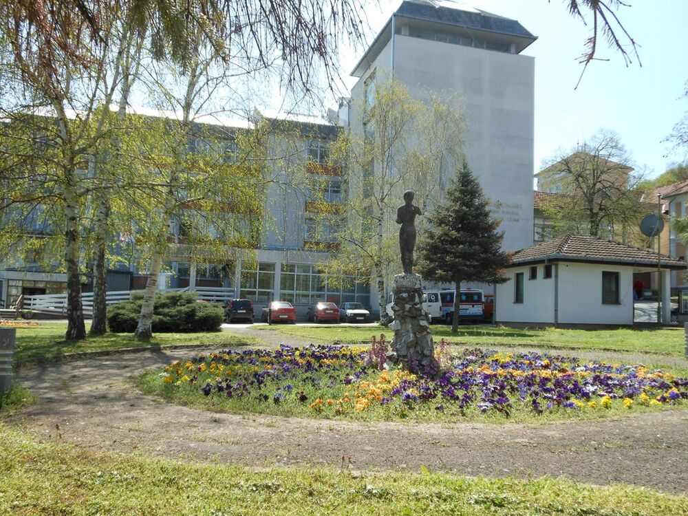 Stari Slankamen, banja stari slankamen