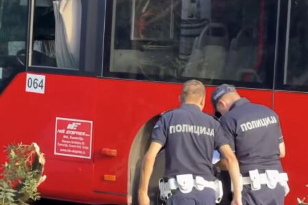 Autobus se zakucao u drvo u Nišu! Vozaču pozlilo, pa sleteo sa puta - ima povređenih (VIDEO)