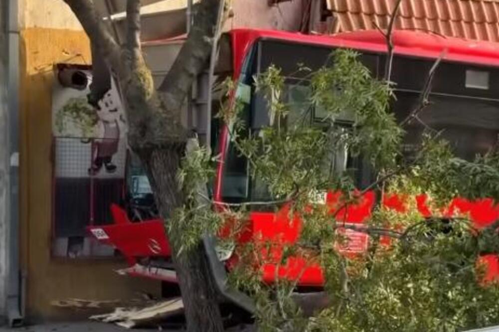 Među povređenima i dvojica dečaka! Detalji nesreće u Nišu, autobus sleteo sa puta i udario u drvo (VIDEO)