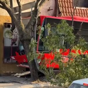 Među povređenima i dvojica dečaka! Detalji nesreće u Nišu, autobus sleteo sa puta i udario u drvo (VIDEO)