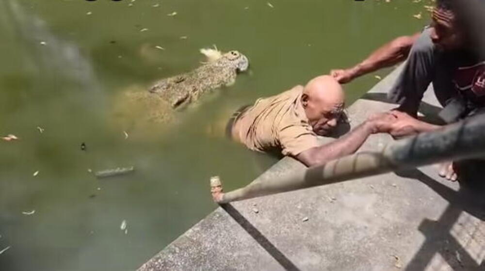 Krokodil napao čuvara: Jeziv snimak zaprepastio čitav svet! "Nije mogao ni da vrišti" (VIDEO)