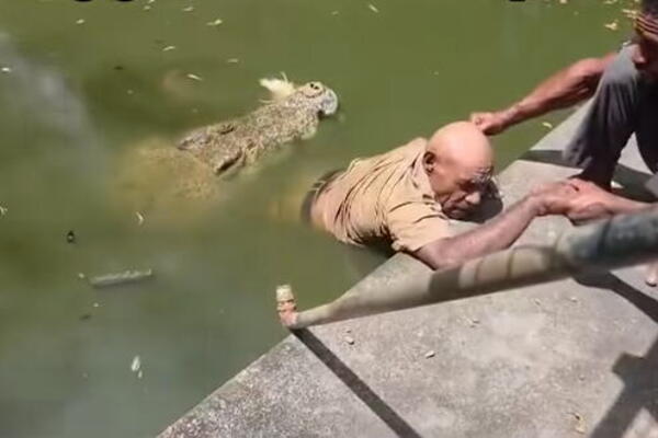 Krokodil napao čuvara: Jeziv snimak zaprepastio čitav svet! "Nije mogao ni da vrišti" (VIDEO)