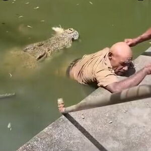 Krokodil napao čuvara: Jeziv snimak zaprepastio čitav svet! "Nije mogao ni da vrišti" (VIDEO)