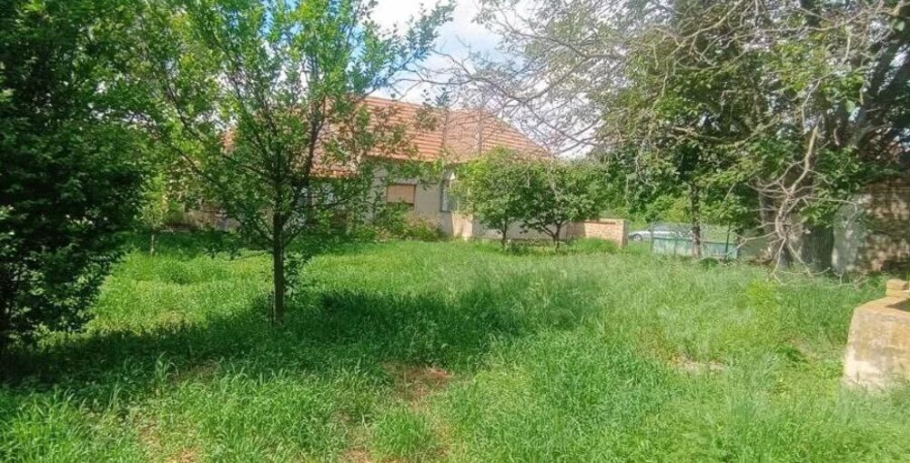 U blizini Zrenjanina se prodaje kuća za 22.000 evra