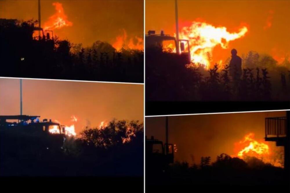 Stravičan požar u Novom Sadu: Sve raspoložive snage su na terenu, snimci su užasavajući! (Video)