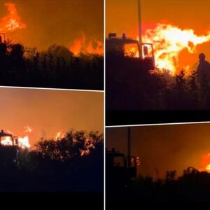 Stravičan požar u Novom Sadu: Sve raspoložive snage su na terenu, snimci su užasavajući! (Video)