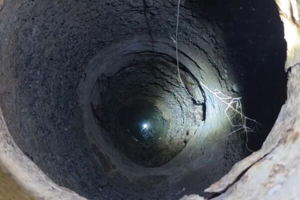 Neobična stanovnica u bunaru porodice Lekić: Živi u mraku već 35 godina - prizor kakav se retko viđa (VIDEO)