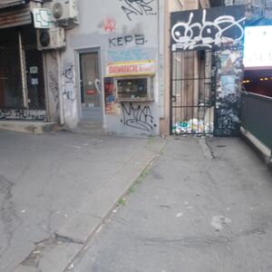 BEOGRAĐANI SE KUNU U SVOJ GRAD, A GLEDAJTE ŠTA MU RADE: Prizori sa Zelenog venca od kojih se okreće želudac (FOTO)