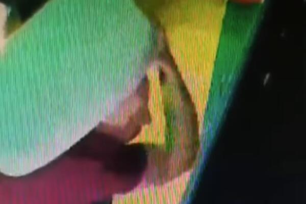 SMEJE MU SE CELA SRBIJA: Lopov iz Novog Sada stavio jastuk na glavu, nije primetio da ga kamera "vidi"! (VIDEO)