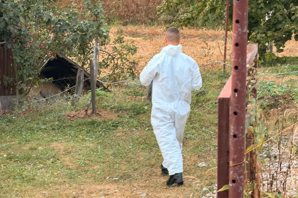 "Mile je ubijen 40 dana od očeve smrti" Progovorio zet žrtve iz sela kod Ivanjice: "Verujemo da će motiv..."