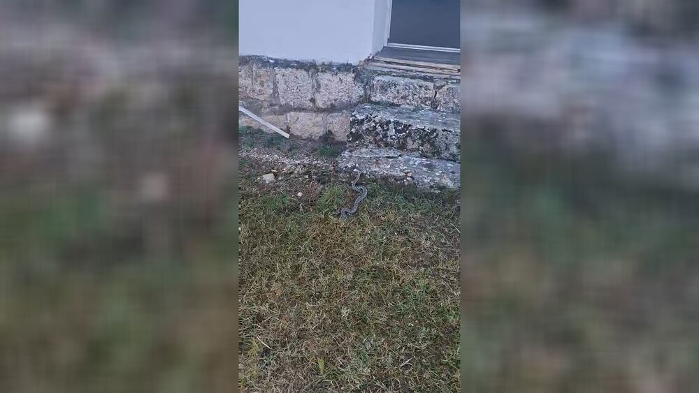 Poskok u školi