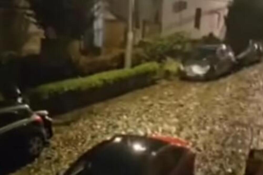 Zemunci ne mogu da veruju ko im šeta ulicama: "Ako je sretnete, izbegavajte kontakt očima" (VIDEO)