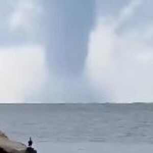 "Kakva mrcina kod Rovinja" Snimljena ogromna pijavica ja Jadranu (VIDEO)
