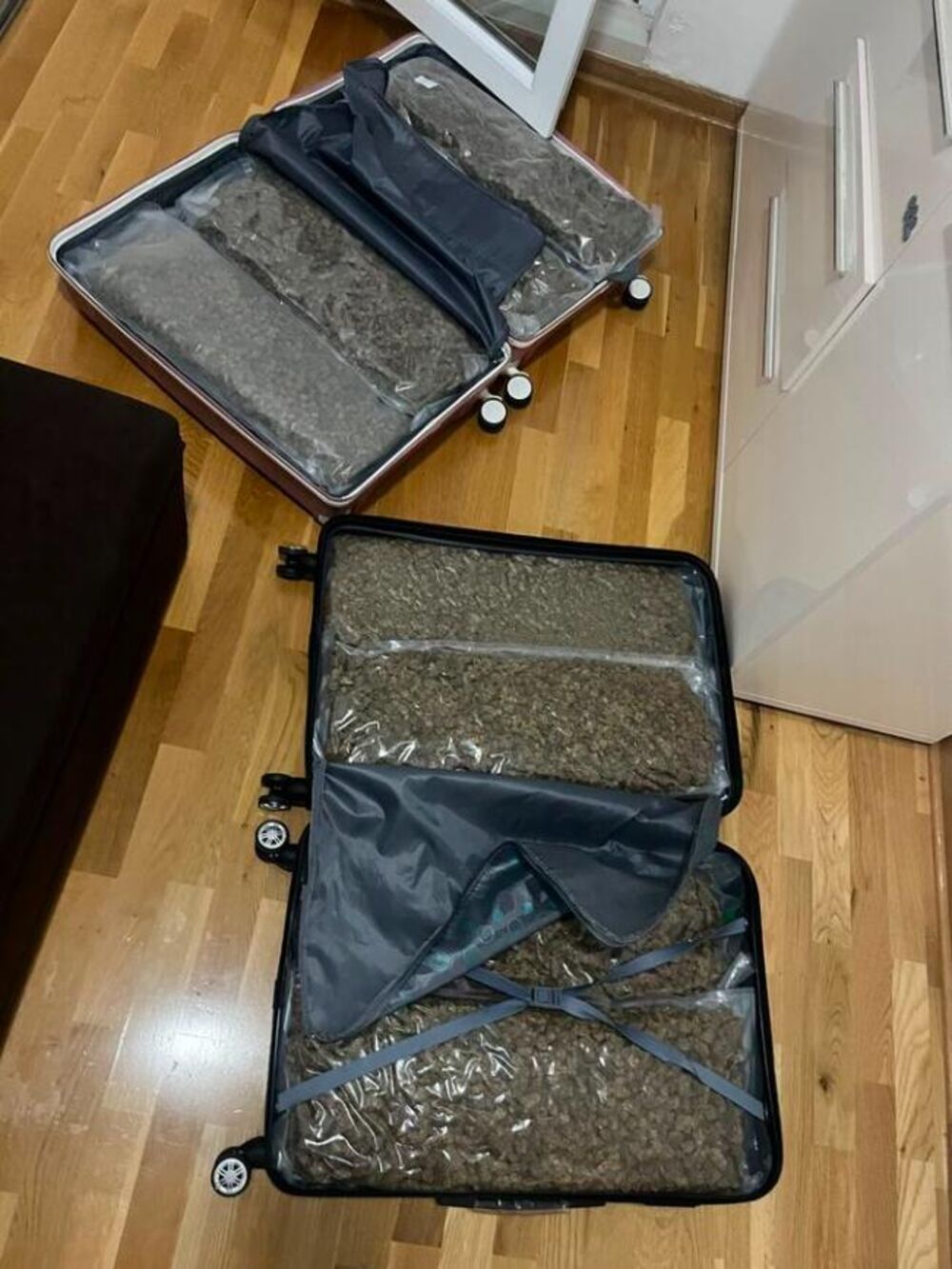 Marihuana, Droga, Zaplena