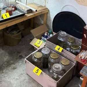 U ovom srpskom gradu otkrivena laboratorija za marihuanu: Zaplenjeno 92 kile droge (FOTO)