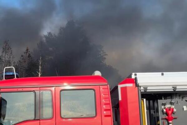 Veliki požar u Nišu, gore vozila i objekti! Vatra na samom ulazu u naselje, vatrogasci pokušavaju da spreče širenje