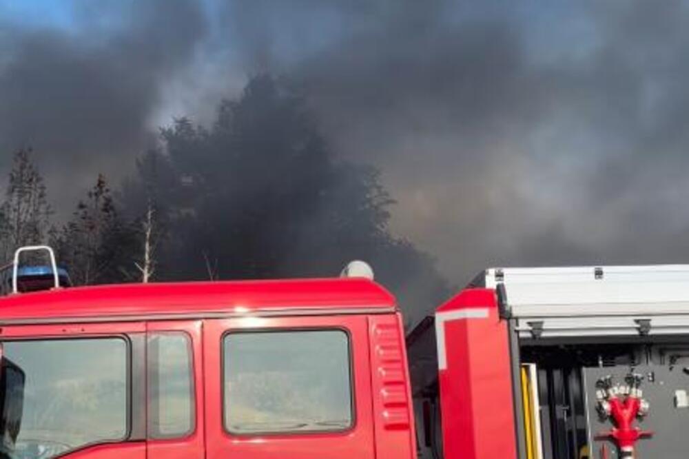 Veliki požar u Nišu, gore vozila i objekti! Vatra na samom ulazu u naselje, vatrogasci pokušavaju da spreče širenje