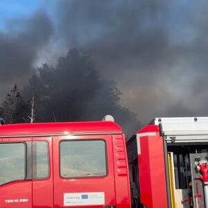 Veliki požar u Nišu, gore vozila i objekti! Vatra na samom ulazu u naselje, vatrogasci pokušavaju da spreče širenje