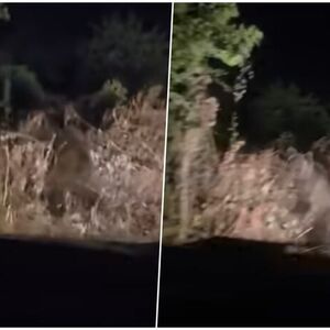 ZASTRAŠUJUĆ PRIZOR USRED NOĆI KOD ZLATIBORA! Vozač išao kroz šumu pa... NIJE ZA ONE SA SLABIM SRCEM (VIDEO)
