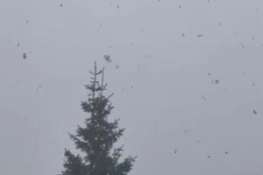 U ovom delu Srbije sneg veje kao da je januar: Pojavio se i snimak, gledajte samo (VIDEO)