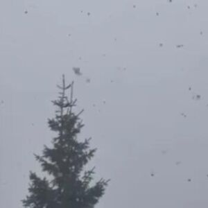 U ovom delu Srbije sneg veje kao da je januar: Pojavio se i snimak, gledajte samo (VIDEO)