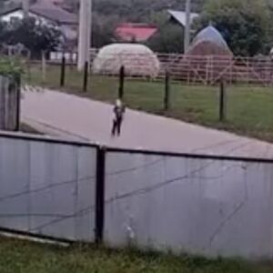 Objavljen poslednji snimak malog Avrama (4): Dečak bos izašao iz kuće, celu noć ga tražili, a danas nađen mrtav!