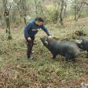 Ovo je mladi Vučič koji ne beži od teških poslova: Posle škole se vratio u rodno selo, uzgaja svinje i bere maline