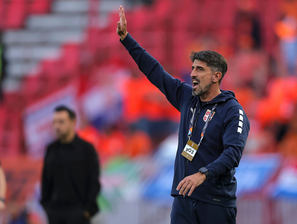Veljko Paunović, Fudbalska reprezentacija Srbije