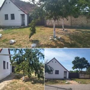 U ovom delu Vojvodine se prodaje kuća za 24.000 evra: Škola i vrtić se nalazi u istoj ulici (FOTO)