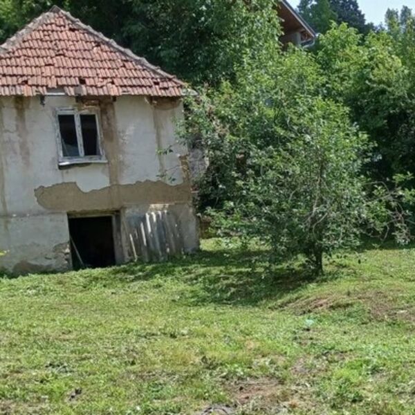 Kuća zlata vredna na samo 2 minuta od Dunava: 4 ara placa i bunar za samo 10.000 evra, i tu nije kraj!
