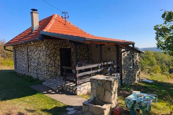 Kuća, vajat i 42 ara placa na prodaji za male pare: Jasmina nudi imanje i arteški bunar na 112 metara dubine (FOTO)