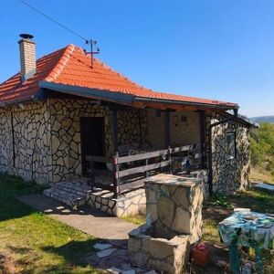 Kuća, vajat i 42 ara placa na prodaji za male pare: Jasmina nudi imanje i arteški bunar na 112 metara dubine (FOTO)