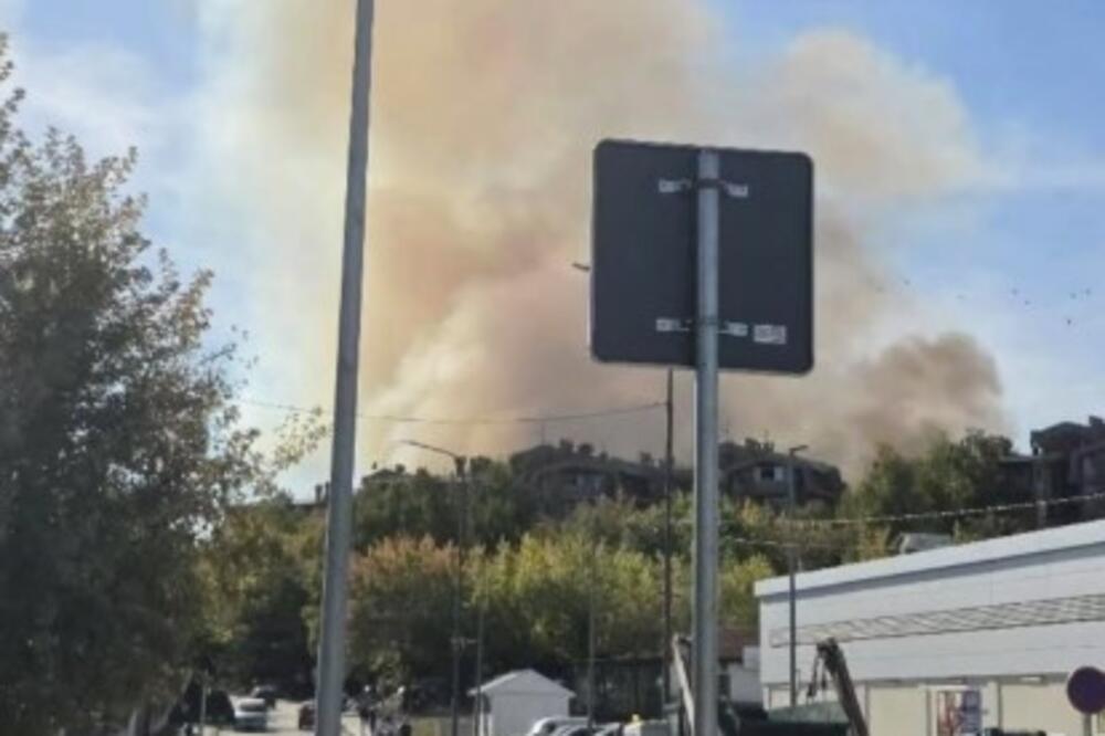 Gori šuma iznad Bora: Gusti dim prekrio nebo, ljudi u šoku! (FOTO)