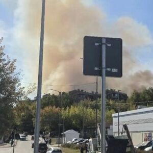 Gori šuma iznad Bora: Gusti dim prekrio nebo, ljudi u šoku! (FOTO)