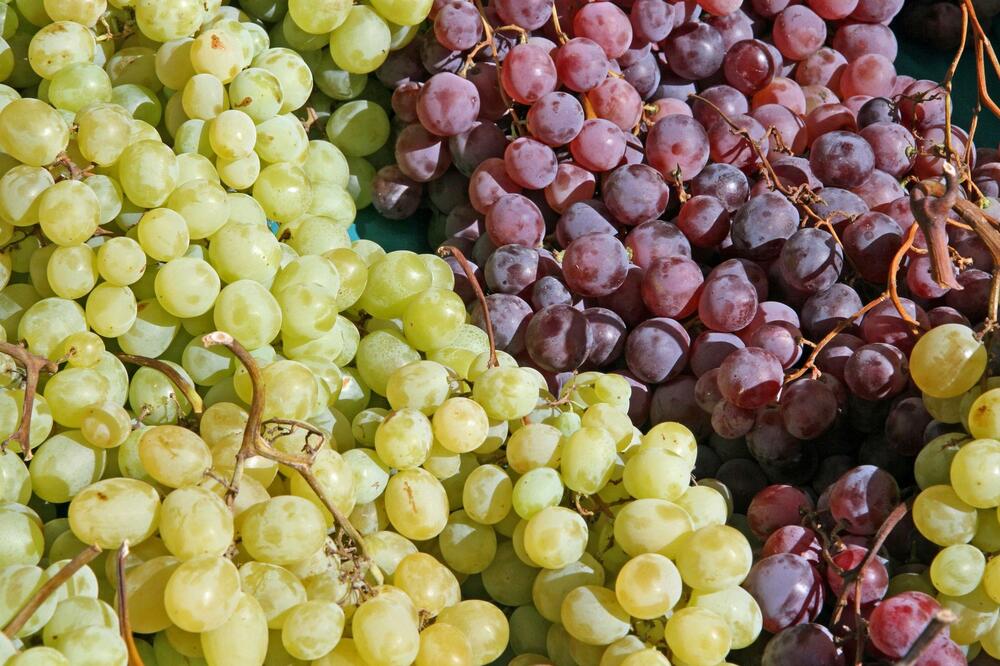 DA LI ZDRAVIJE CRNO ILI BELO GROŽĐE? Jedna vrsta je mnogo bolja, ne mogu da se porede, čisto ZDRAVLJE!