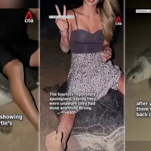 MLADI PAR JAHAO KORNJAČE DOK SU MUČENE POLAGALE JAJA: Skandalozno ponašanje je zgrozilo javnost, snimak da ti POZLI