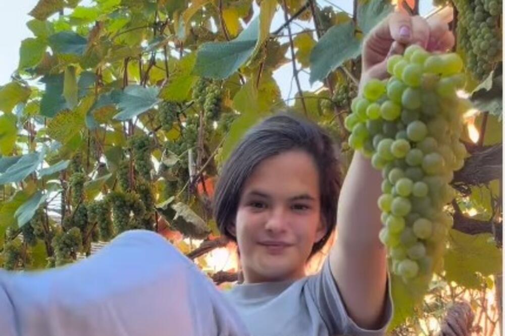 Vera se od malih nogu bavi poljoprivredom: Ostavila grad pa otišla na selo, sada joj se divi cela Srbija (VIDEO)
