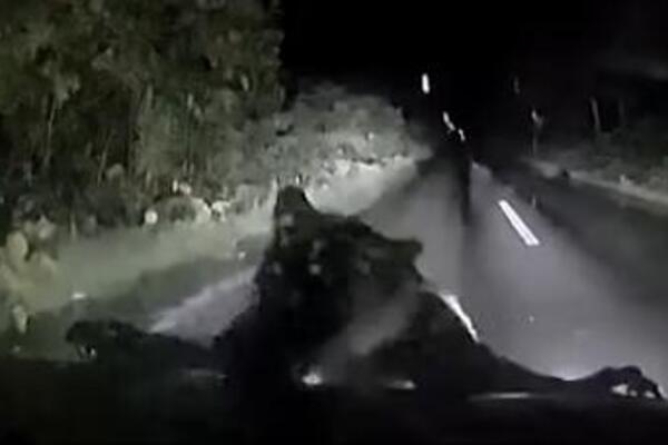 (VIDEO) ZASTRAŠUJUĆE! Krvoločna ZVER ODJEDNOM ISKOČILA IZ MRAKA: Stala na zadnje šape i ZAKUCALA SE U KOLA! HOROR!