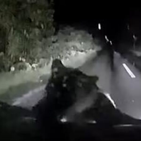 (VIDEO) UZNEMIRUJUĆE! MEDVED USNIMLJEN USRED NASELJA U VRANJU: Jurio ga automobil, on IZBEZUMLJENO BEŽAO PO MRAKU!