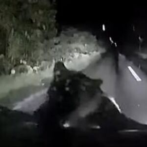 (VIDEO) ZASTRAŠUJUĆE! Krvoločna ZVER ODJEDNOM ISKOČILA IZ MRAKA: Stala na zadnje šape i ZAKUCALA SE U KOLA! HOROR!